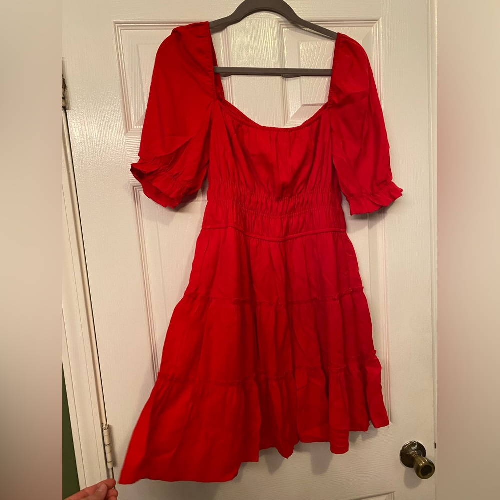 Trixxi Dress (L)